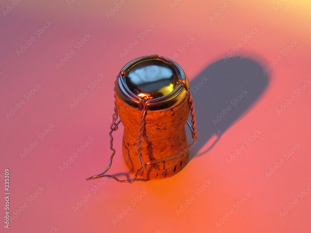 Photography champagne bung