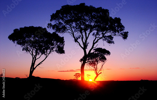 sunset photo