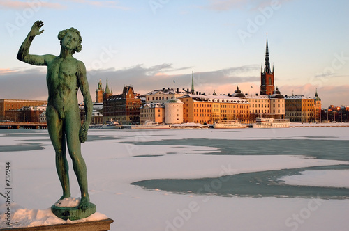 Canvas Print stockholm city