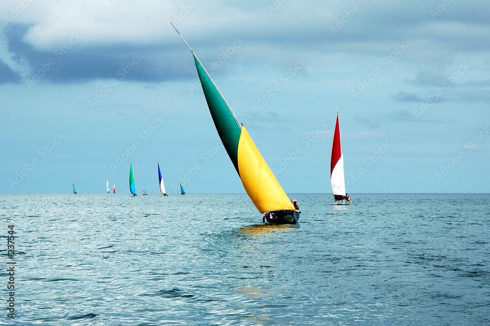 Obraz premium régate (bambous virieux, ile maurice)