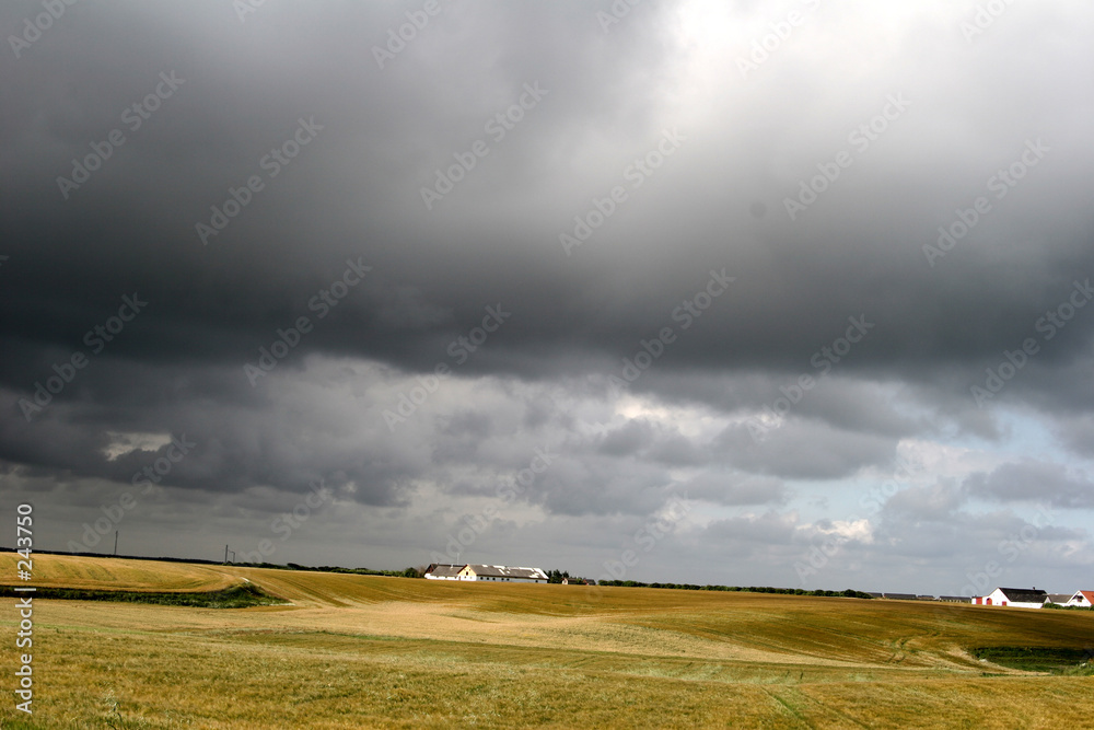 Fototapeta premium rural denmark