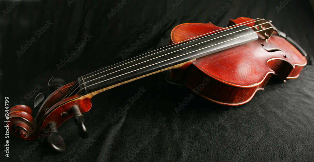 Fototapeta premium violin5224