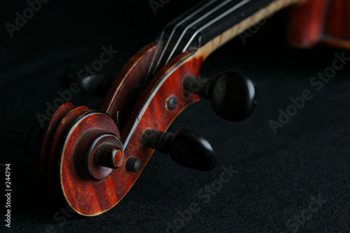 violin5215
