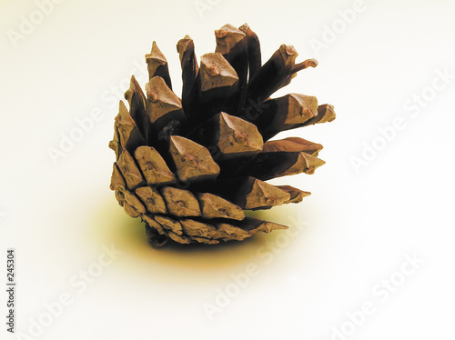 cone