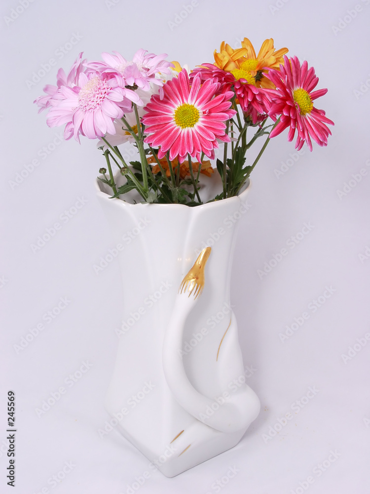 Obraz na plátně flower in vase
