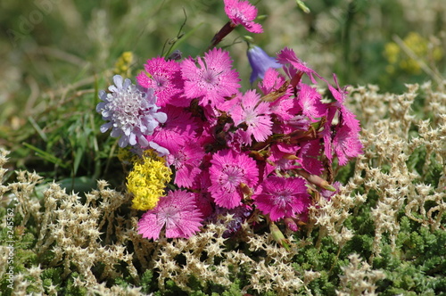 bouquet naturel