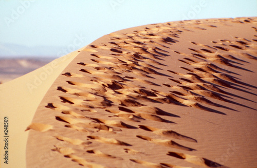 des pas sur la dune