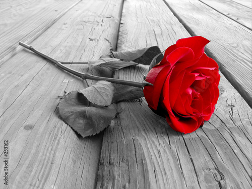 Naklejka na szafę Róża na drewnie - separacja koloru czerwonego