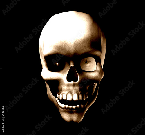 Obraz na plátně skull