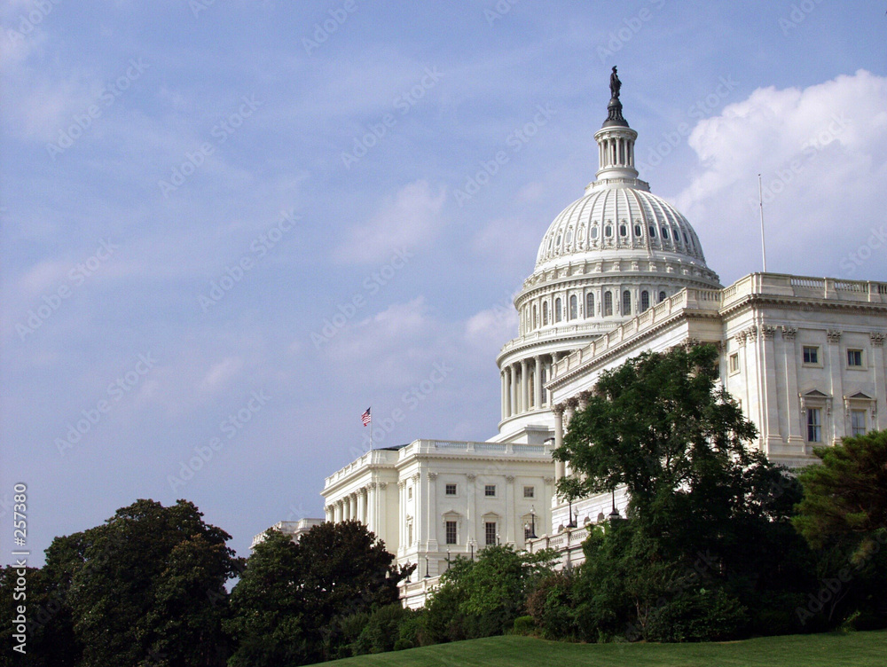 Naklejka premium us capitol building