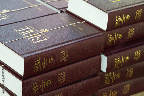 bibles