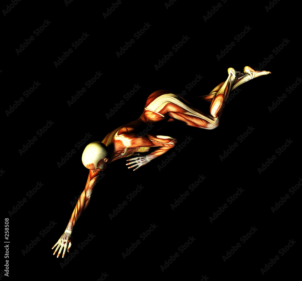 Obraz premium muscle 54