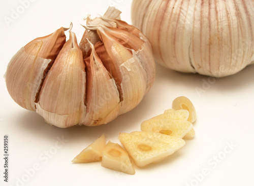 garlic photo