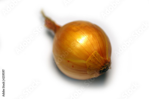 onion