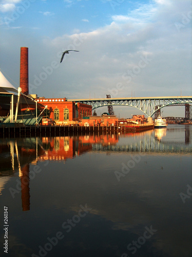 seagull flying over river with building and bridge