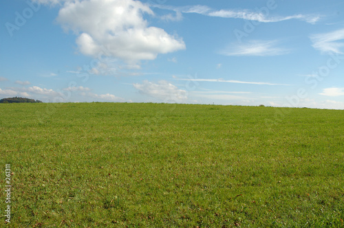 natur 1