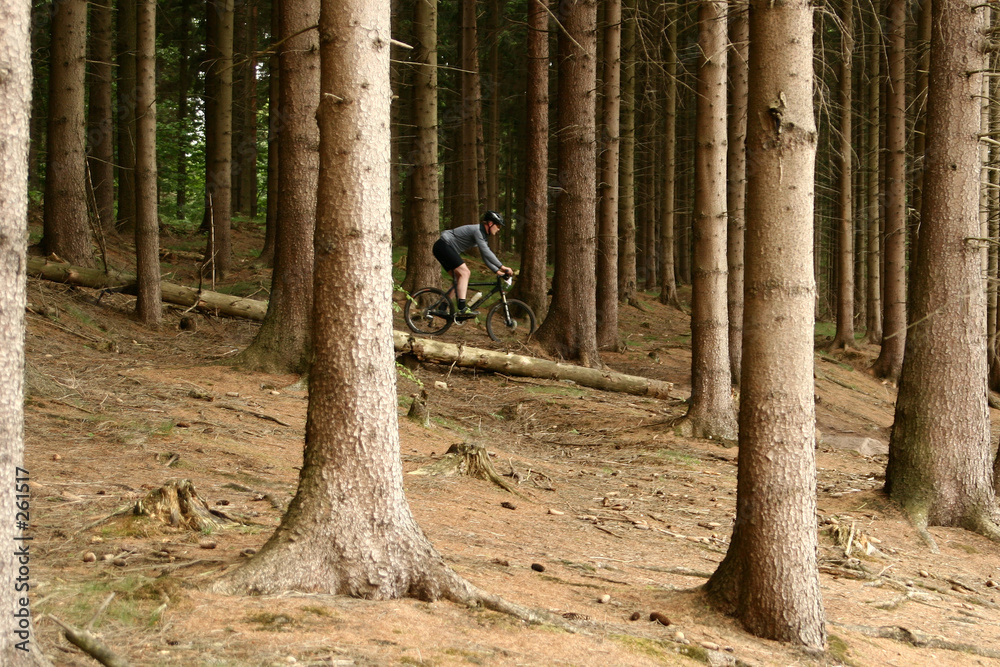 bike race bike race