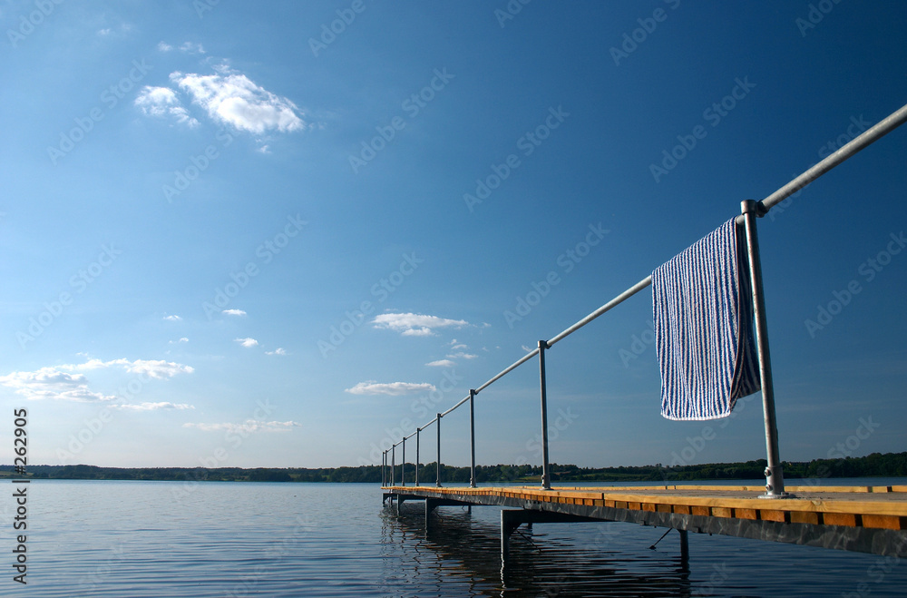 Fototapeta premium summer bridge