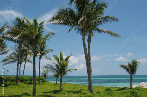 bahamas beach