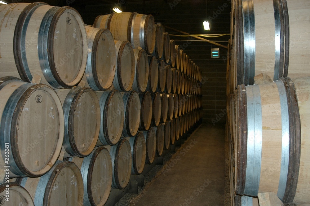 french wine cellar