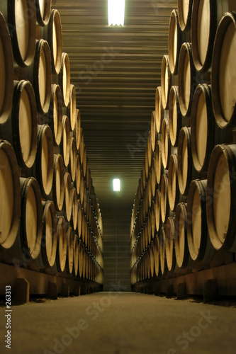 bourgogne wine cellar