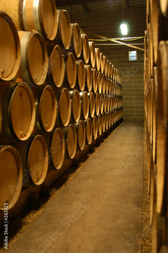 bourgogne wine cellar