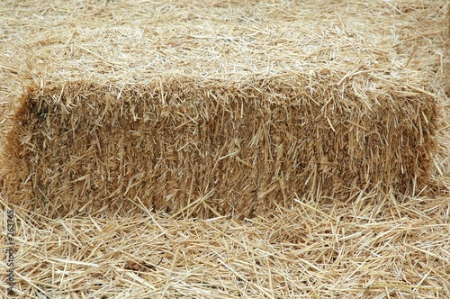 hay stack