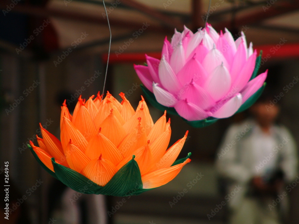 Fototapeta premium paper laterns at lotus lantern festival