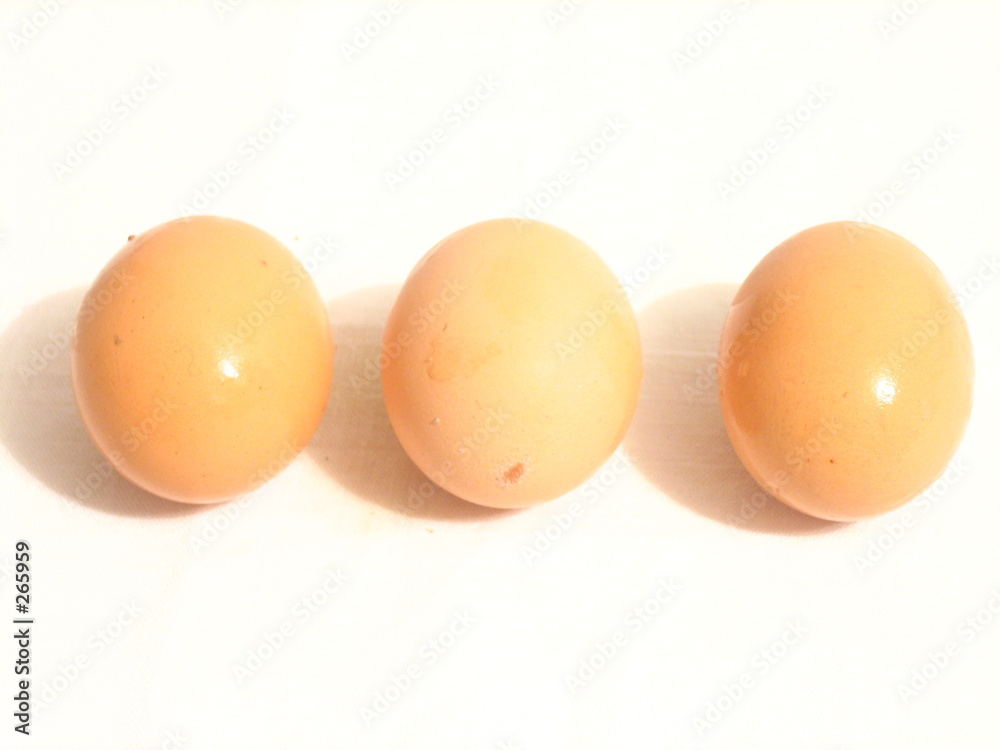 eggs eggs
