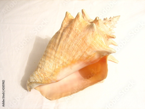 shell 3
