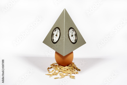 techno hen photo