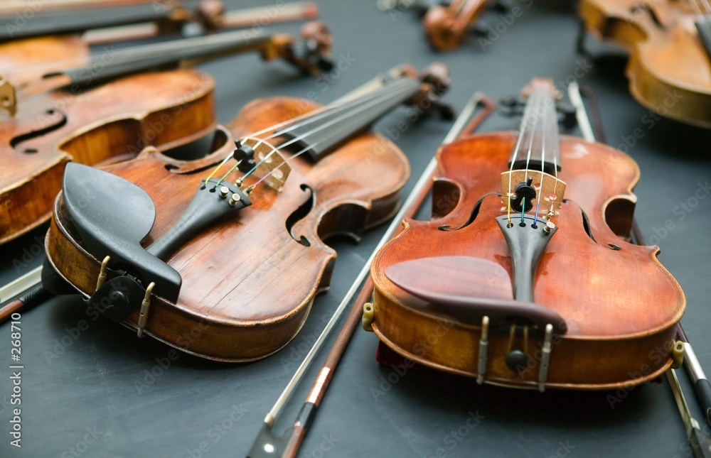 Fototapeta premium violins