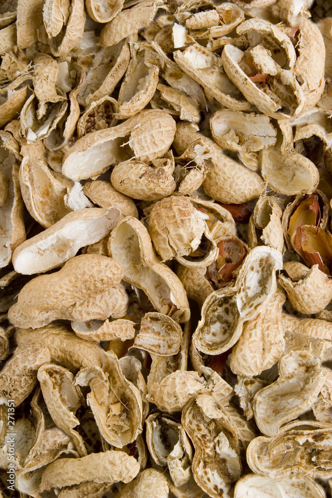 peanut shell background peanut shell background