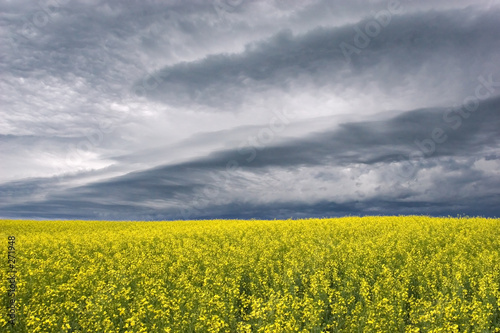 Fototapeta Naklejka Na Ścianę i Meble -  storm clouds over the prairie