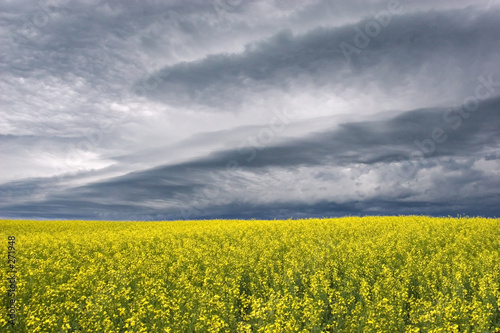 storm clouds over the prairie
