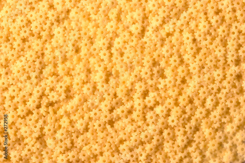 pasta wheels