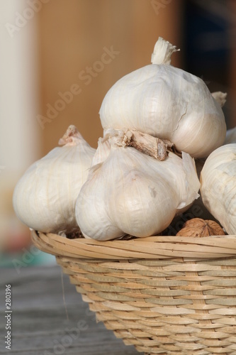 Tableau sur toile legumes ails