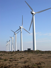 Keuken achterwand Molens Windturbines in open veld  © Mary Lane