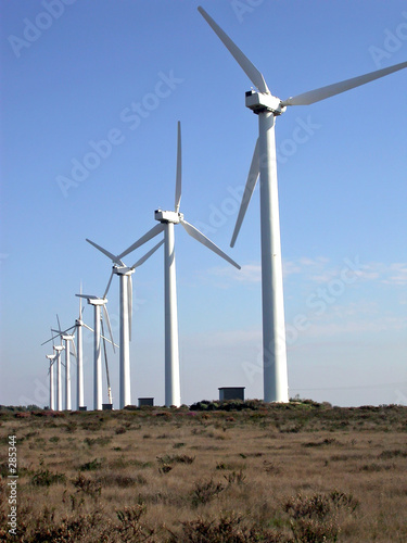 wind mills