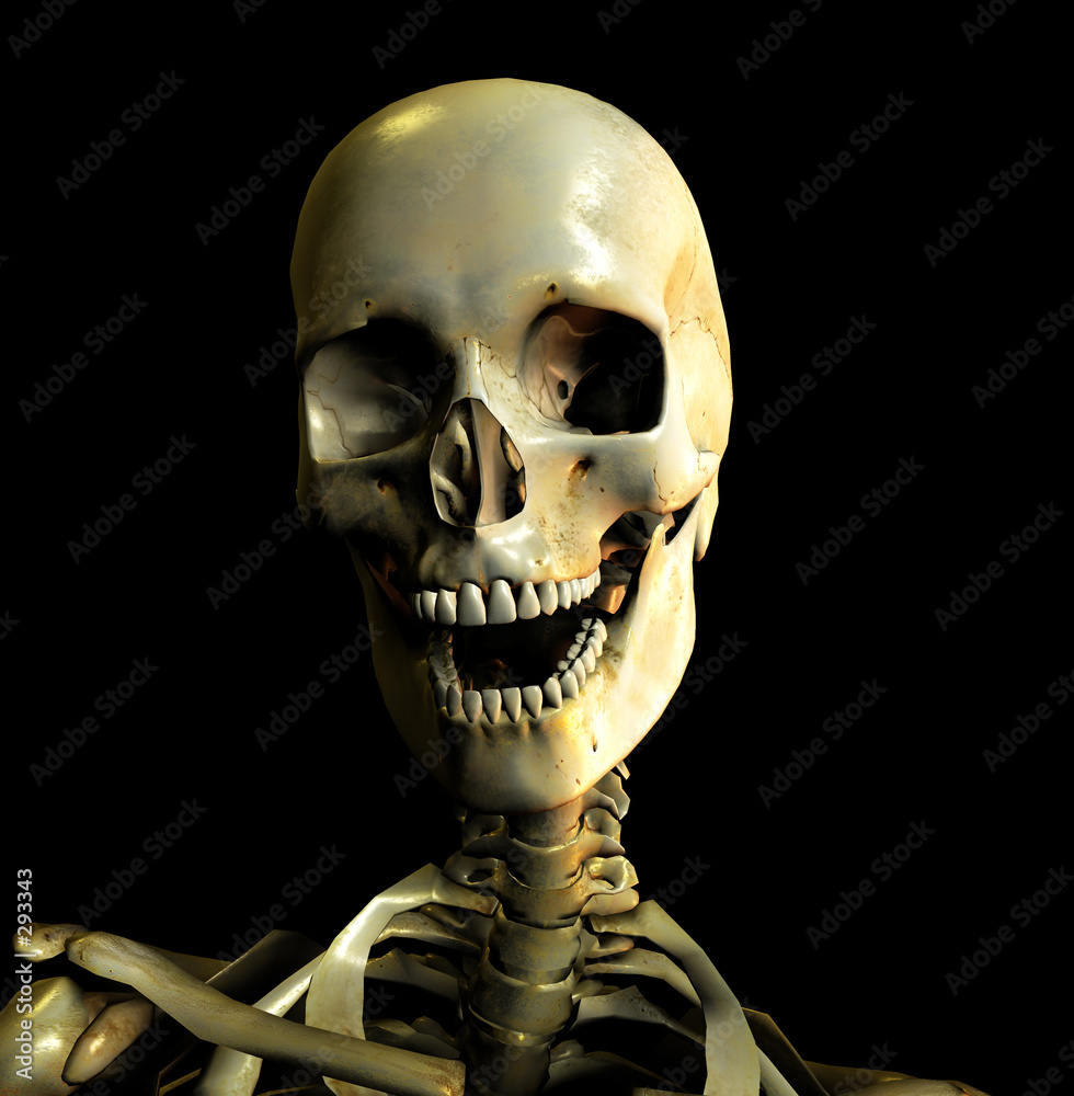Εκτύπωση καμβά bone 29