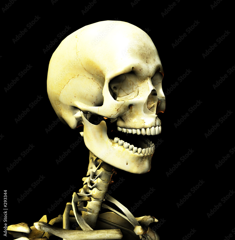 Fotografija bone 31