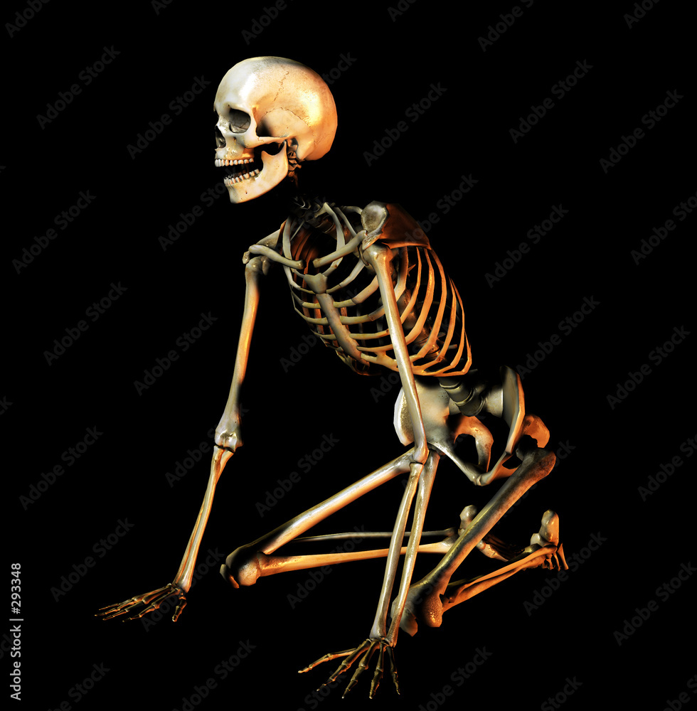 Fototapeta premium bone 37