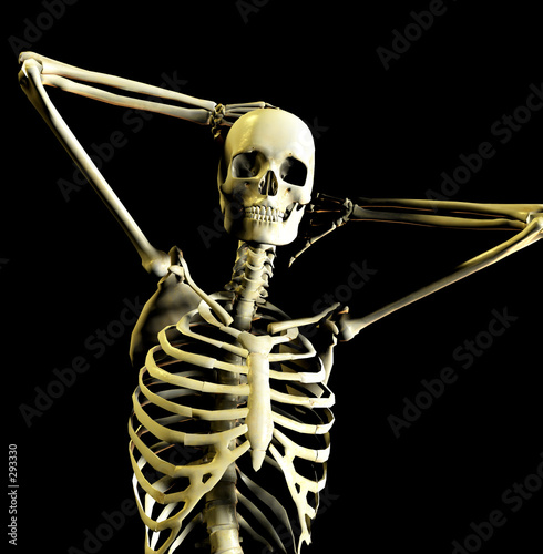 Φωτογραφία bone 25