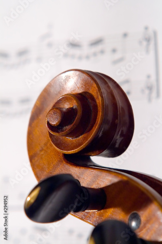 violine head