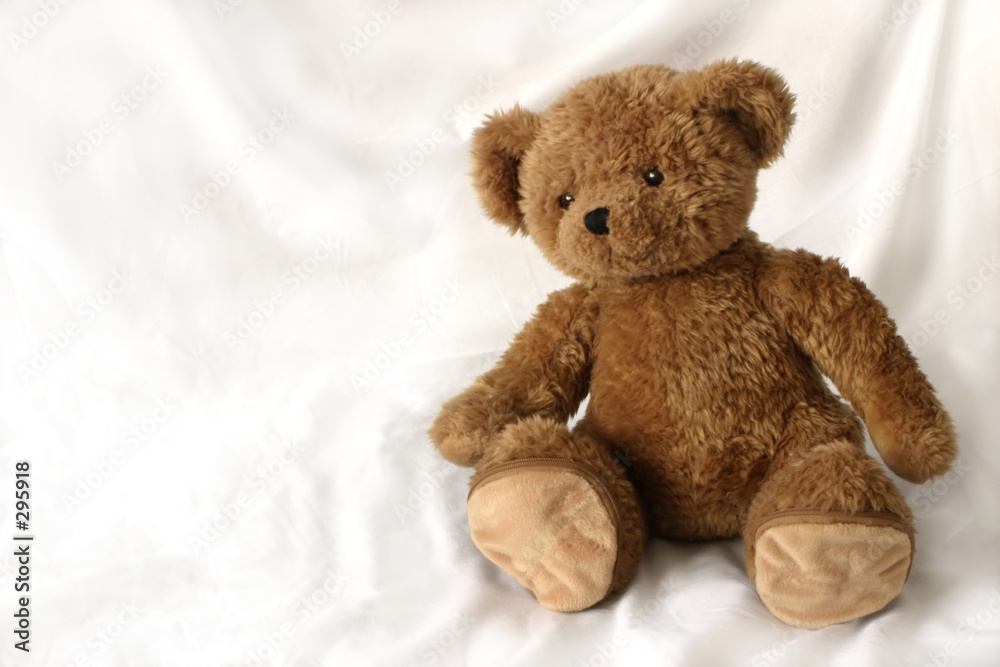 teddy bear teddy bear