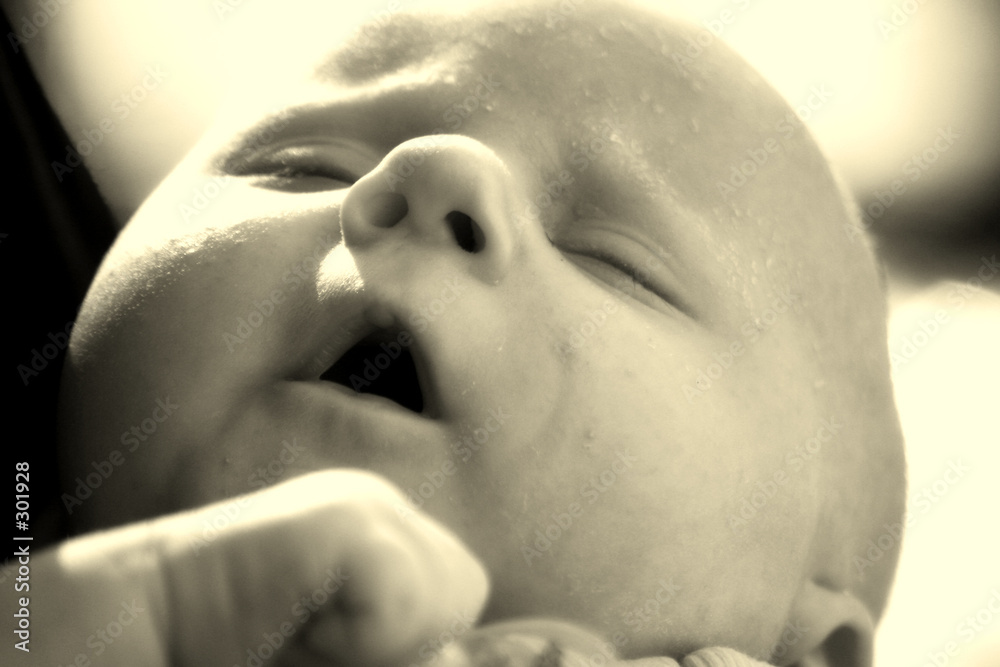 Fototapeta premium müde