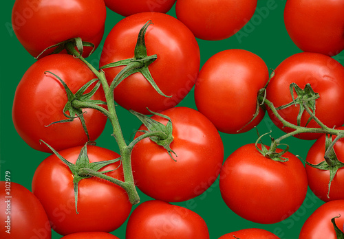 tomates © indochine