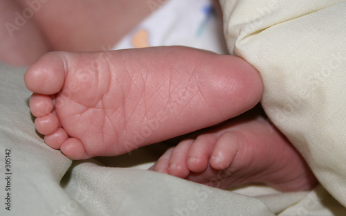 babyfüsse photo