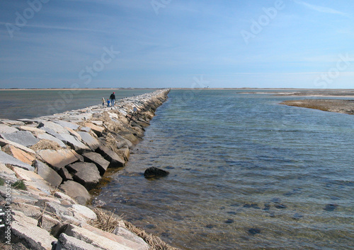 jetty photo