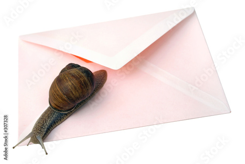 snail mail isolated
